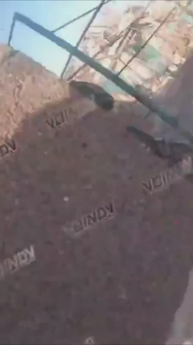 rutube.ru