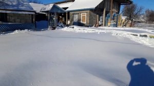 Январь на пасеке!!!