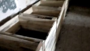 Расширение вермифермы, разведение червей и производство биогумуса