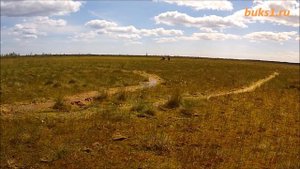 Мотобуксировщик Ураган Волк болото до 3 чел после ливней