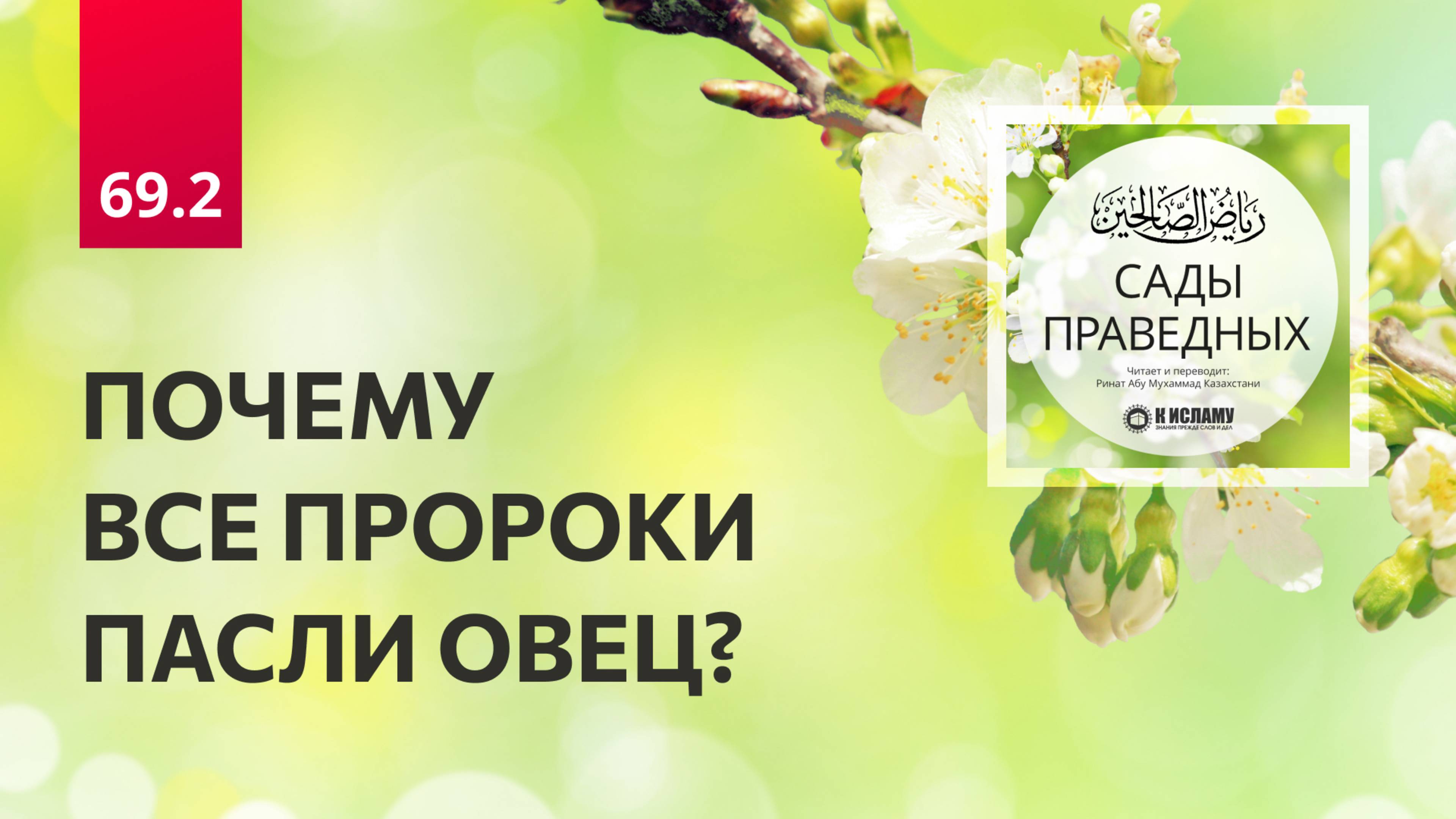 69.2 Сады праведных. Почему все пророки пасли овец? Хадисы 600-601