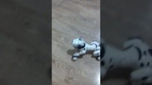 Робот собака обзор