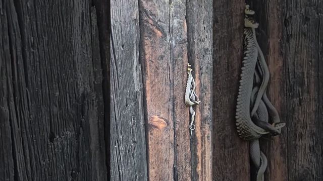 Женский дружный коллектив смотреть онлайн