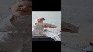 Все Удары На 8 Кю В Каратэ Кёкусинкай