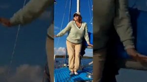 Закрытие парусного сезона⛵️👌👍