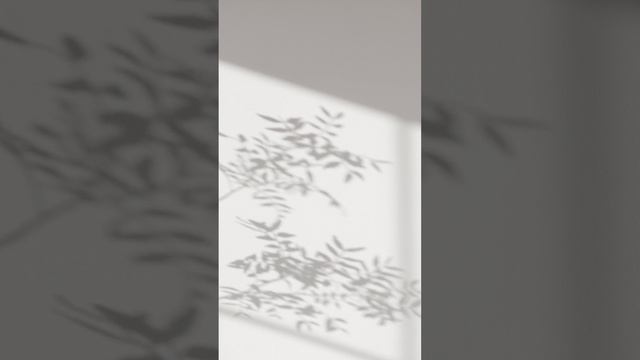 053.  Качества Пророка ﷺ.  Надпись на печати.