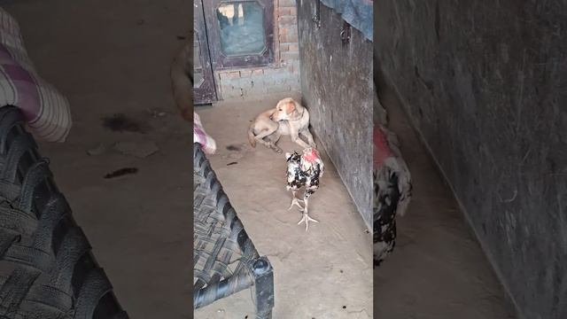 24 September 2023(2) смотреть онлайн