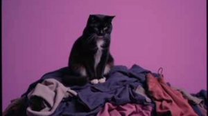 ALEXOD - Забирай свои шмотки