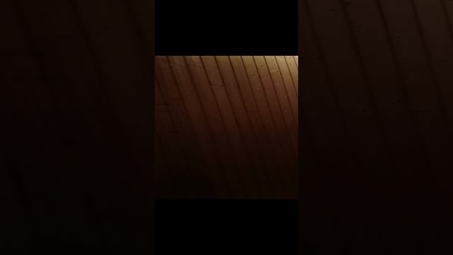 С4