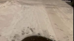 Тихо падал пушистый снег ❄️❄️❄️