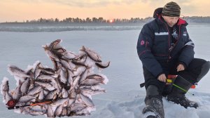 Озёра продолжают радовать в глухозимье