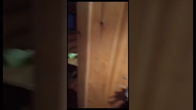 Долгожданный отпуск #Байкал #банька #Усадьбаохотника
