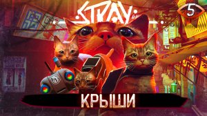 5. КРЫШИ ➤ Прохождение Stray