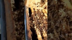 Ноябрьский облёт!!!