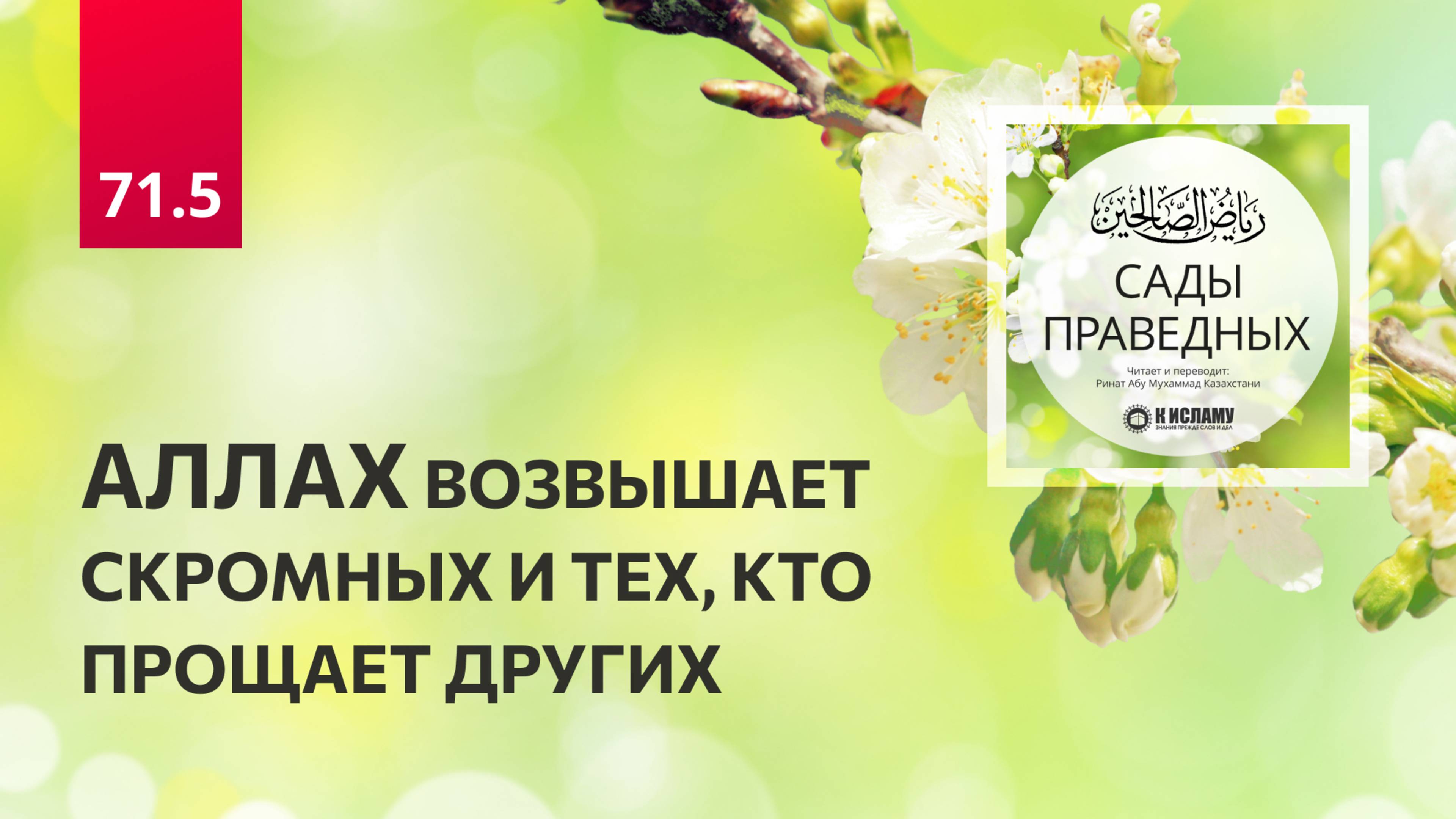 71.5 Сады праведных. Аллах возвышает скромных и тех, кто прощает других. Хадис 603