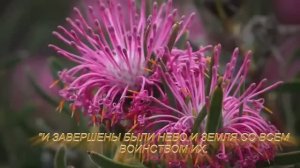 СВЯТИТЕ СУББОТУ - СЕДЬМОЙ ДЕНЬ НЕДЕЛИ, СУББОТА ДЛЯ БОГА! ИСПОЛНЯЙТЕ 4 ЗАПОВЕДЬ, ТАК ГОВОРИТ ГОСПОДЬ!