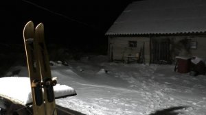 Поговорим о зайцах