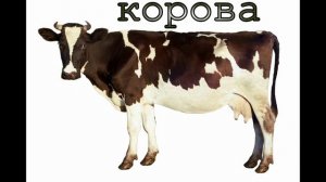 Голоса домашних животных для детей
