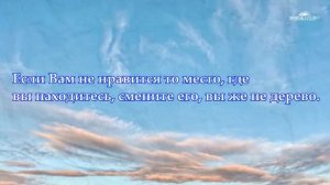 МУДРЫЕ МЫСЛИ   Лучшие Цитаты, Афоризмы, Фразы о жизни со смыслом Читает Леонид Ю 1