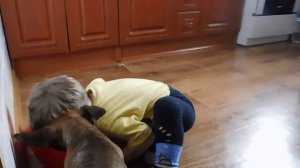 Обед с собакой. Ребенок ест с собакой из одной миски.