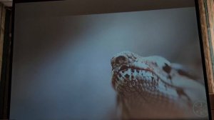 Обзор мини проектора Everycom M7/ M7A и его версий 480p, 720p