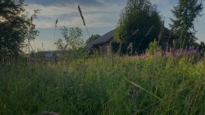 ДОРОГА ИЗ ЖЕЛТОГО КИРПИЧА. Страшные истории на ночь про деревню. Аудиокниги. Страшилки. Рассказы