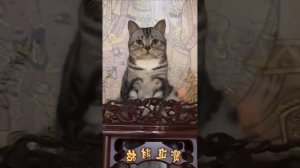 Самый опасный зверь