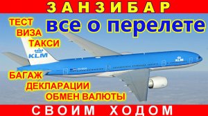 🔴Перелет🔴Стыковки🔴Аэропорт🔴Covid-19🔴Тест🔴ПроходимТаможню🔴 Занзибар🔴KLM🔴Amsterdam🔴 Airport