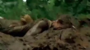 Плюх (остаться в живых_converted