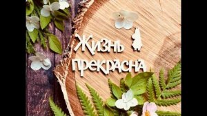 Песня ЖИЗНЬ ПРЕКРАСНА И ПОЛЕЗНА