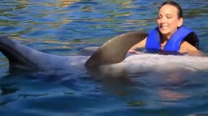 Travel Dolphin adventure in Puerto Vallarta Mexico. Приключения дельфиньчиками в Мексике.