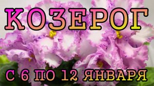 КОЗЕРОГ таро прогноз на неделю с 6 по 12 ЯНВАРЯ 2025 года.