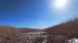 Закрытие охоты с гончими