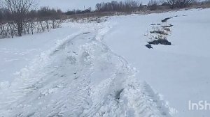 выставка пчёл 2023