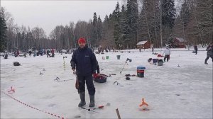 Рыбалка на актив и пассив в полях. Нижний пруд. Клёвое место Лосиный остров.