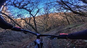 трейл Пылесос (Лучистый/Алушта) / 02.01.25