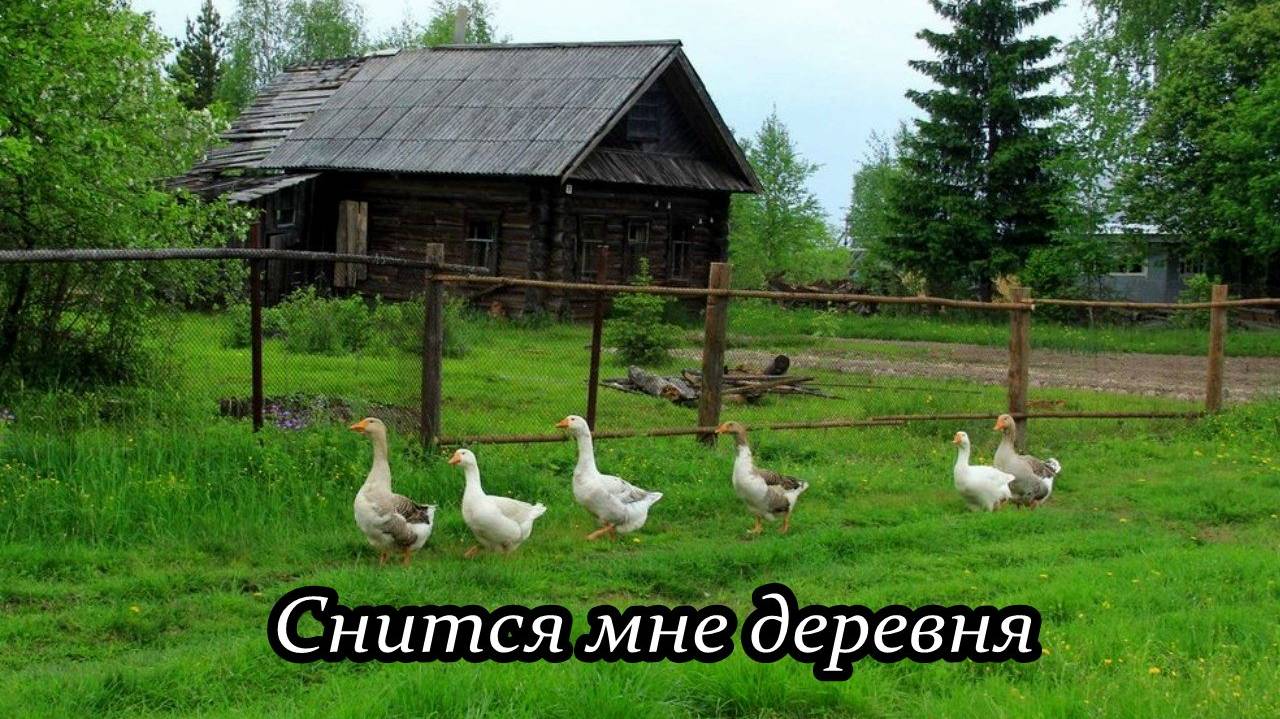 Снится мне деревня