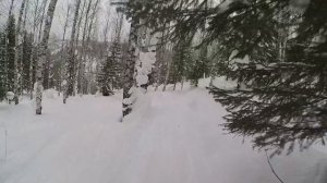 Губаха 02.2024