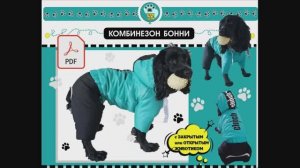 Шьем Комбинезон для собаки