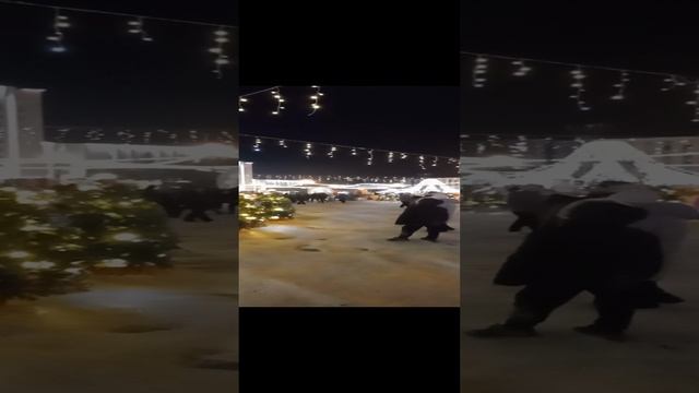Хабаровск . Новогодняя площадь .