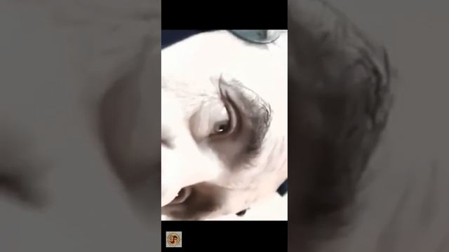 Выпуск X. Мысль материальна. смотреть онлайн