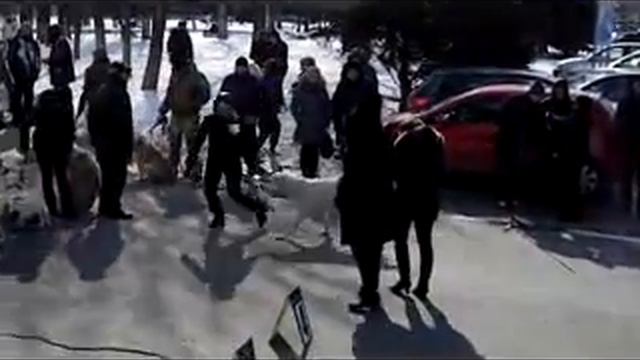 Выставка Сен Сао Фанни