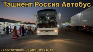 Ташкент Рассия Автобус