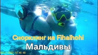 Мальдивы в ноябре. 44 серия. Снорклинг на Fihalhohi