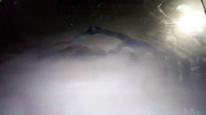 Смерть Муфасы. Король лев 1994 год