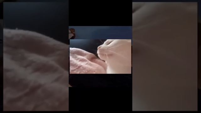 бабл квас |2 часть!| #баблквас #VAnish смотреть онлайн