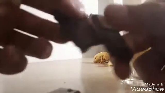 Я ПООВАР|ДЕСЕРТ ИЗ БАНАНА И ШОКОЛАДА!