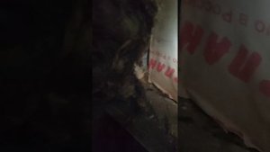 мыши   и крысы пробрались в дом каркасный