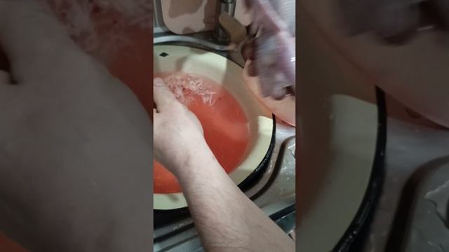 Разделка тушки перепела. 
От А до Я.