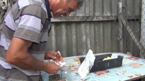 Борьба с тлёй на табаке